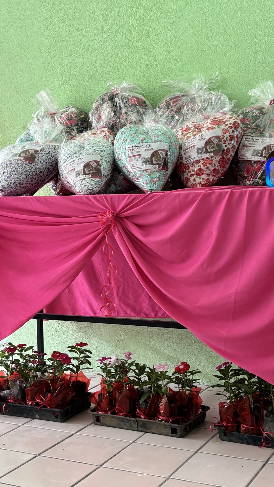 Almofadas de coração e mudas de flores preparadas para as participantes do encontro